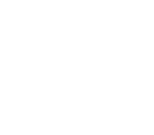 Seoul Skin Diary logo